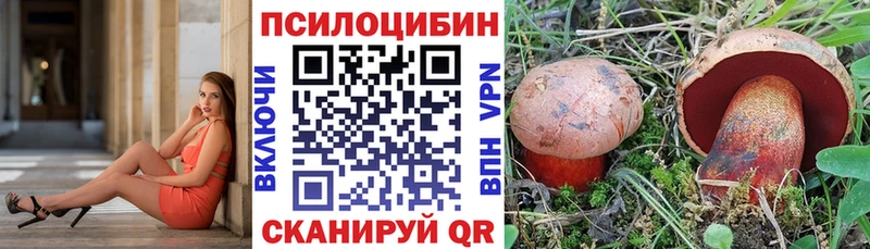 наркотики  Порхов  Галлюциногенные грибы Psilocybe 